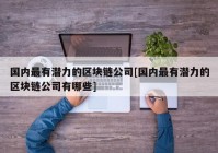 国内最有潜力的区块链公司[国内最有潜力的区块链公司有哪些]